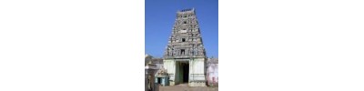 218. திருஎருக்கத்தம் புலியூர்